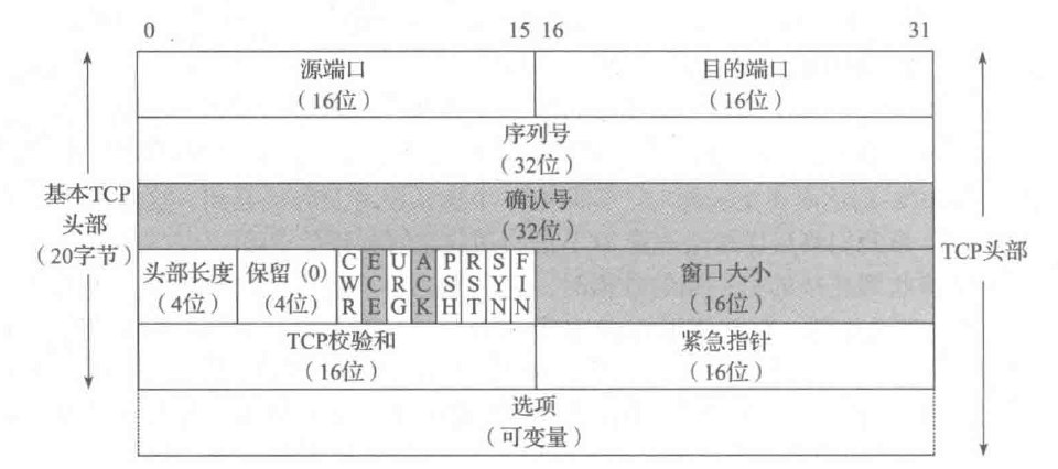TCP格式